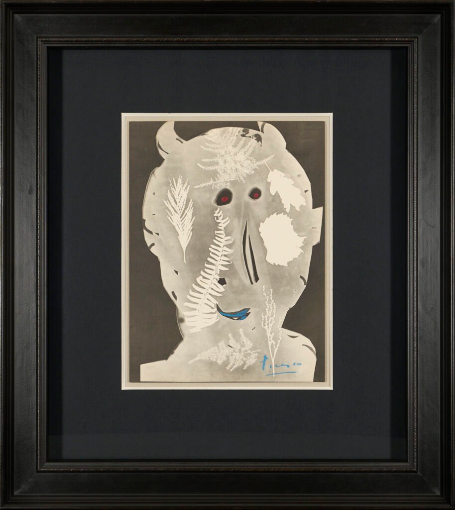 picasso 1 b picasso 1 b